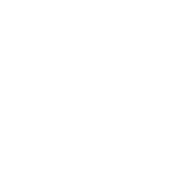 Icono de solución